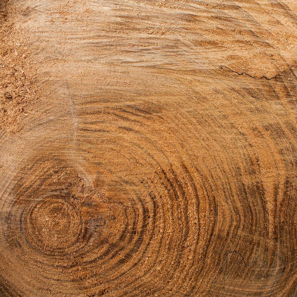Holz mit Jahresringen