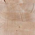 Glulam